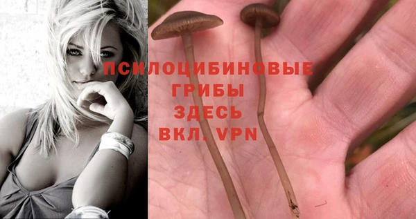 первитин Саяногорск