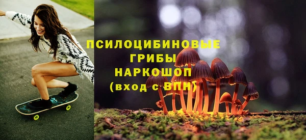 первитин Саяногорск