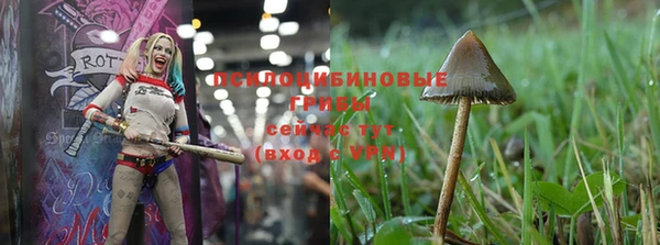 экстази Сафоново