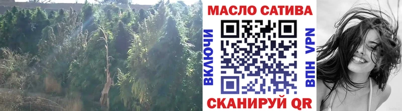 наркотики  Гусиноозёрск  Дистиллят ТГК THC oil 