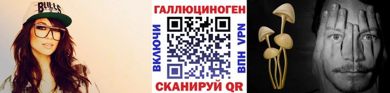 Псилоцибиновые грибы мицелий  купить наркотики сайты  Гусиноозёрск 